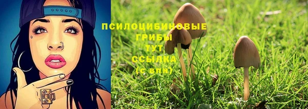 apvp Алексеевка
