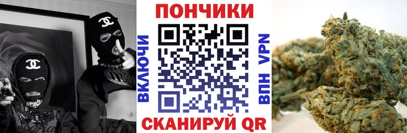 Канабис план  Санкт-Петербург 